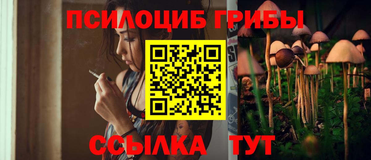 Людиново  Псилоцибиновые грибы прущие грибы  Вход с VPN 